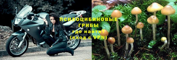 ПСИЛОЦИБИНОВЫЕ ГРИБЫ Алексин