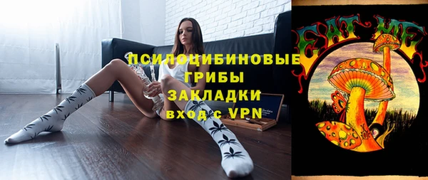 ПСИЛОЦИБИНОВЫЕ ГРИБЫ Алексин