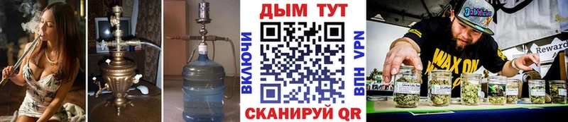 Канабис гибрид как найти наркотики Карачаевск